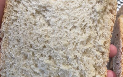 Easy Spelt Bread in KBS Bread Machine